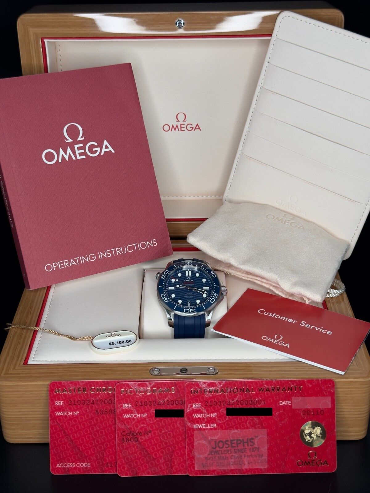 Omega Seamaster Professional 300m | ref. 210.32.42.20.03.001