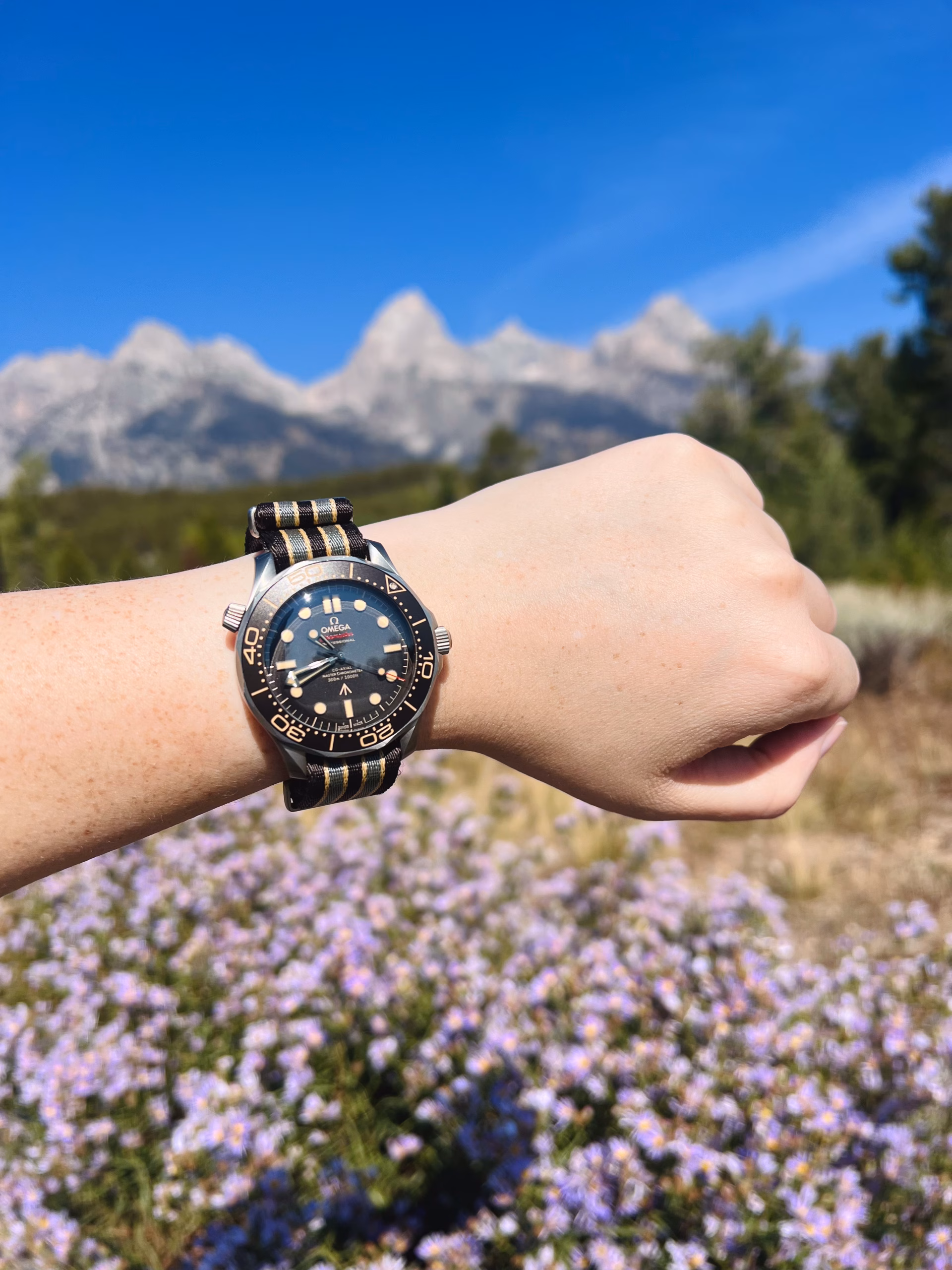 Hands-On: The Omega Seamaster 007 Edition Takes on the Tetons